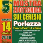 manifesto mostra 2018a[113973]